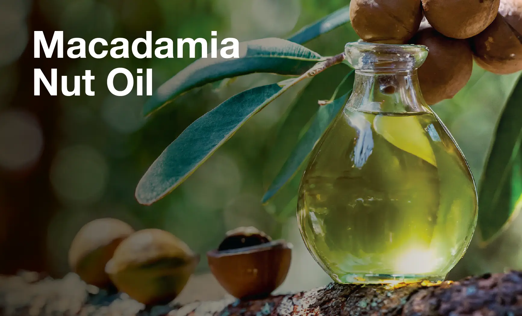 Macadamia-Oil.webp