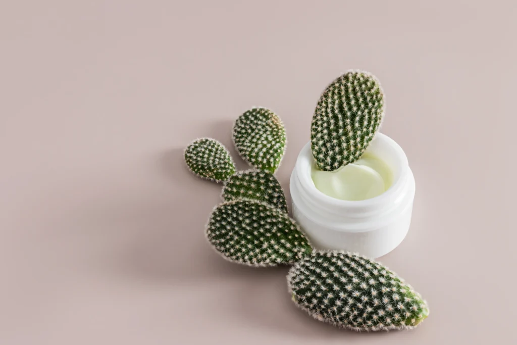 The Secret of the Power of Prickly Pear.